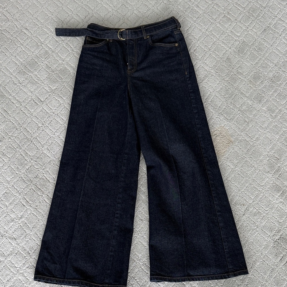 Express Wide-Leg Dark Blue Jeans worn once